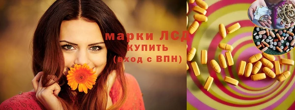 хмурый Алзамай