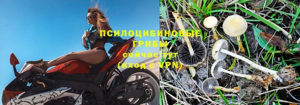apvp Алексеевка