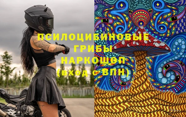 хмурый Алзамай
