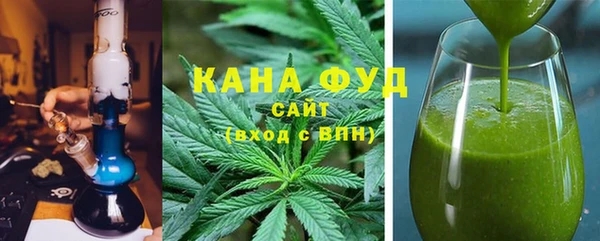 хмурый Алзамай